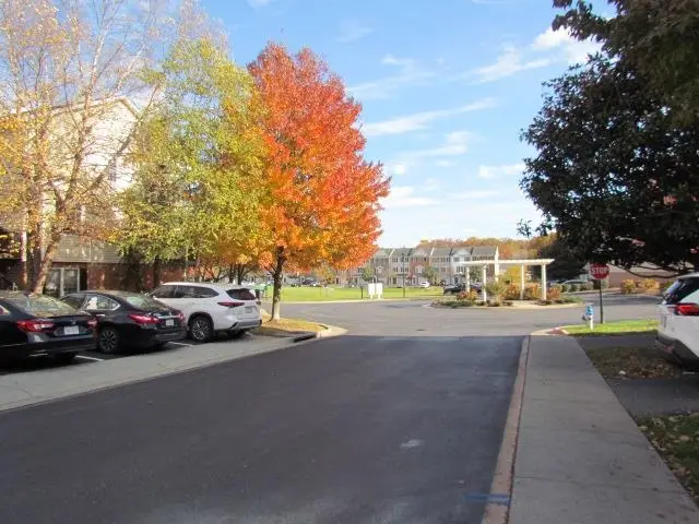 2976 Crystal Spring Ln, Massanetta Springs, VA 22801 - Image #3