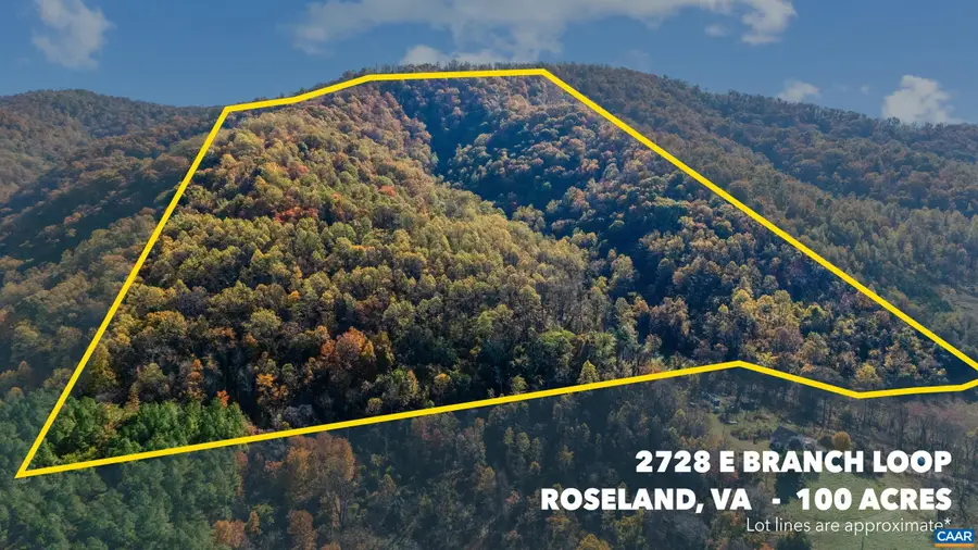 2728 East Branch Loop, Roseland, VA 22967 - #3