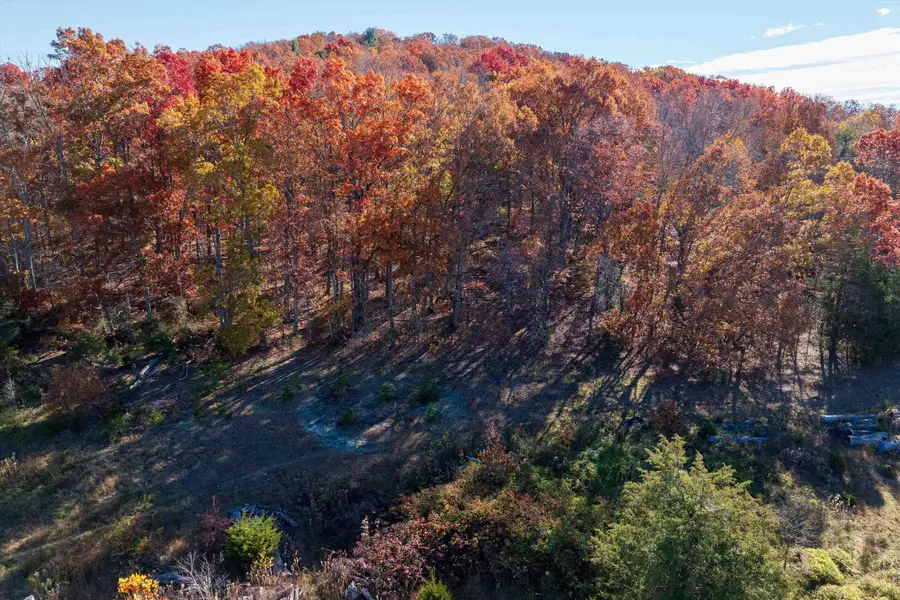 TBD Pine Bluff Rd, Waynesboro, VA 22980 - Image #3