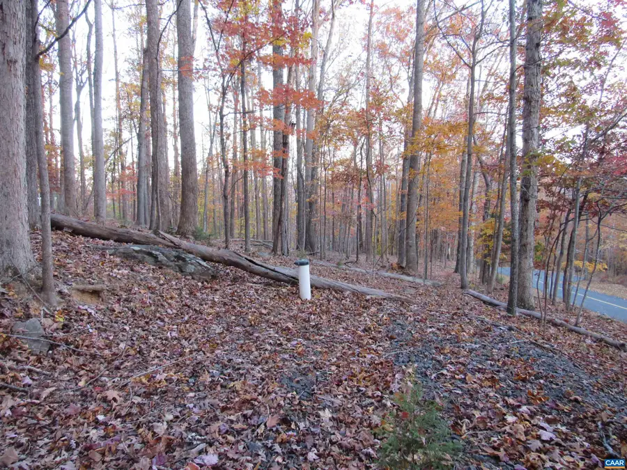 10 Rodes Valley Dr, Nellysford, VA 22958 - Image #2