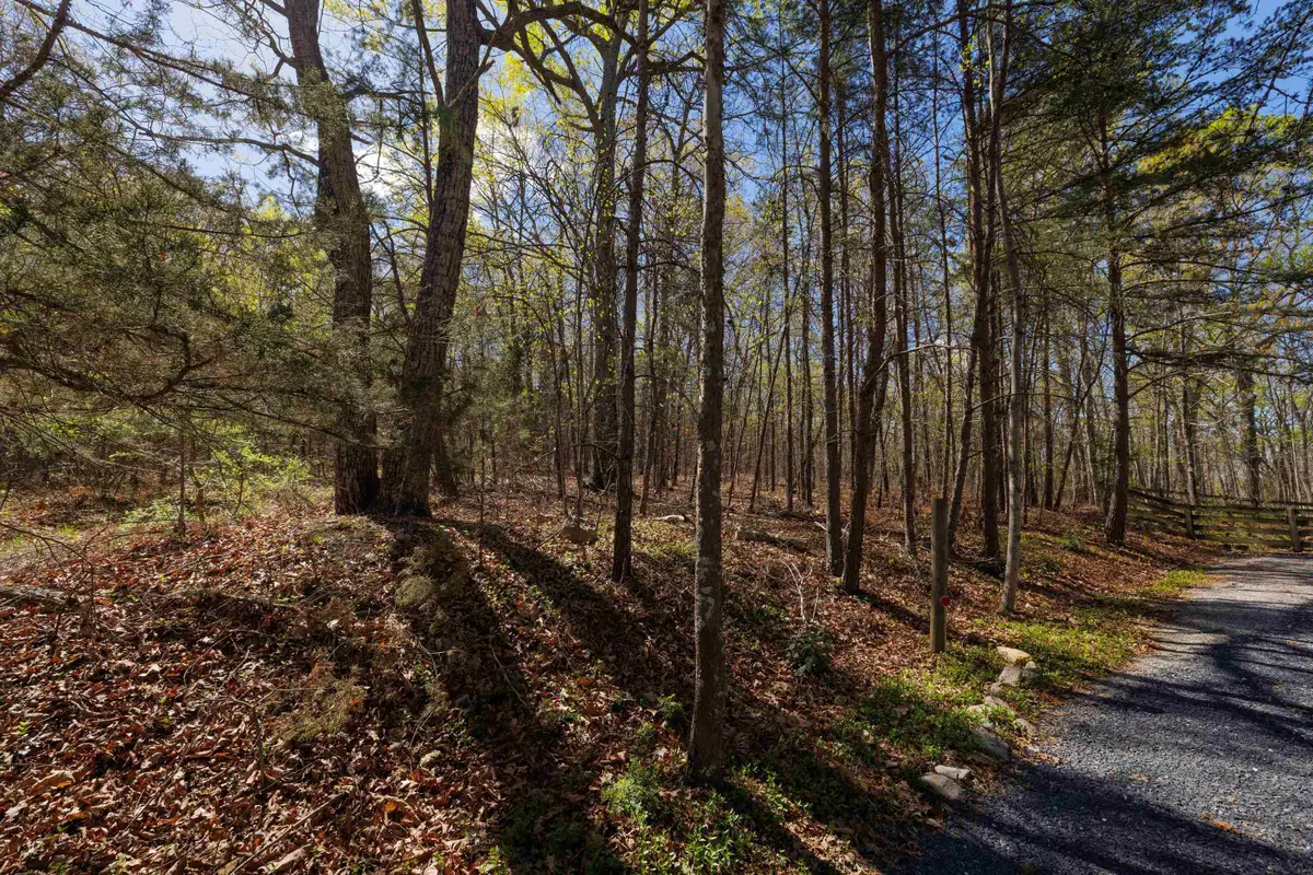 TBD Shotgun Spring Rd, New Market, VA 22844 - Image #1