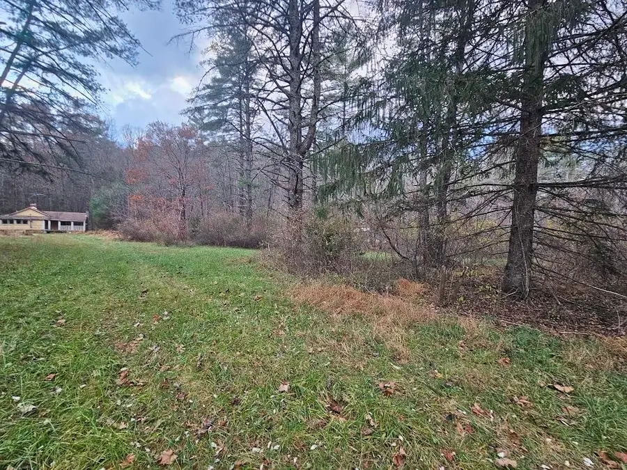 2804 Old Parkersburg Tpke, West Augusta, VA 24485 - Image #2