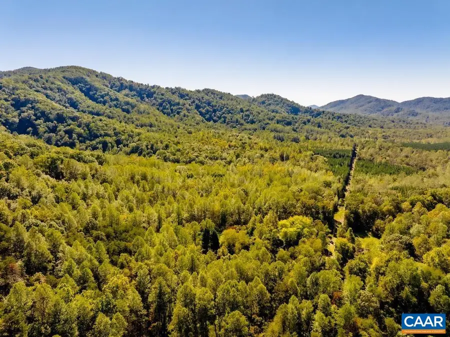 722 Greenfield Mountain Farm, Afton, VA 22920 - #3