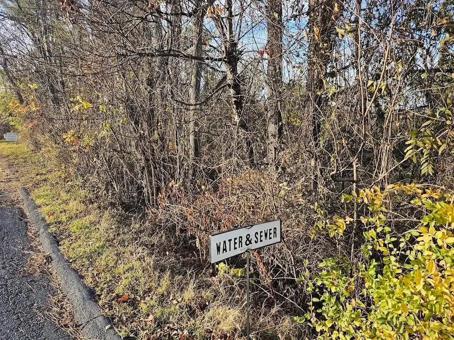 TBD Commodore St, Staunton, VA 24401 - Image #2