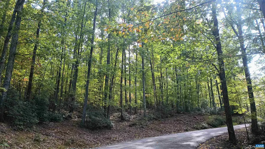 0 Oakcrest Ln, Nellysford, VA 22958 - #2