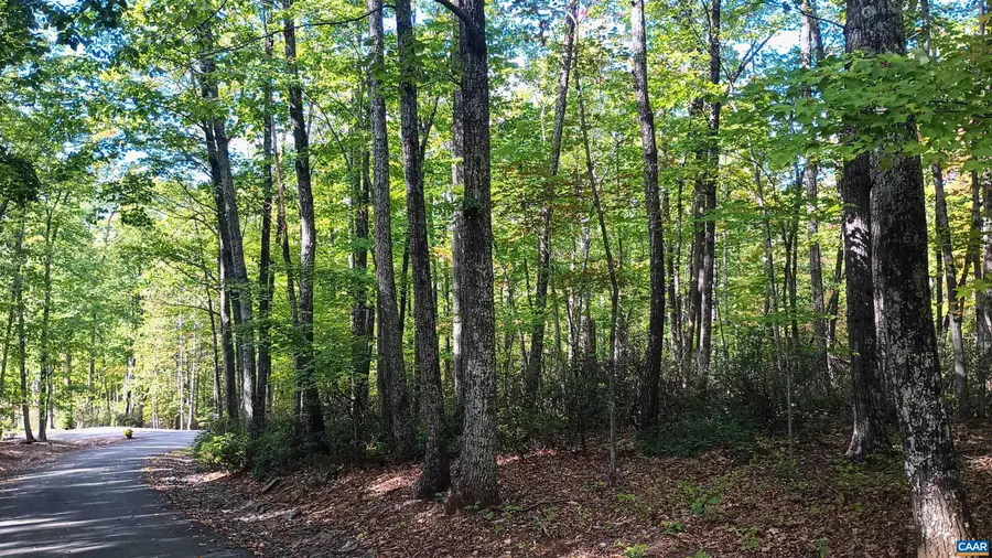 0 Oakcrest Ln, Nellysford, VA 22958 - #3