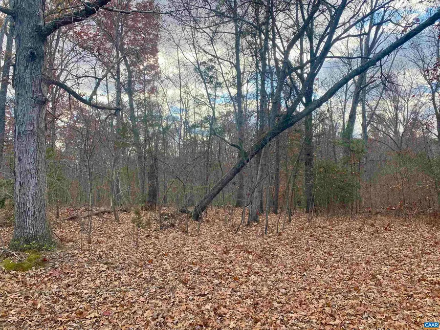 0 Charles Ln, Louisa, VA 23093 - #3