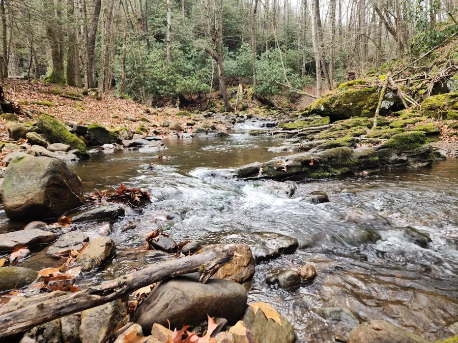 3763 Potomac River Rd, Monterey, VA 24465 - Image #2