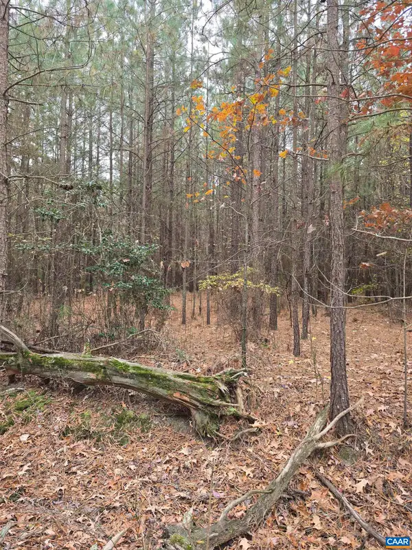 18 Evergreen Dr, Colonial Beach, VA 22443