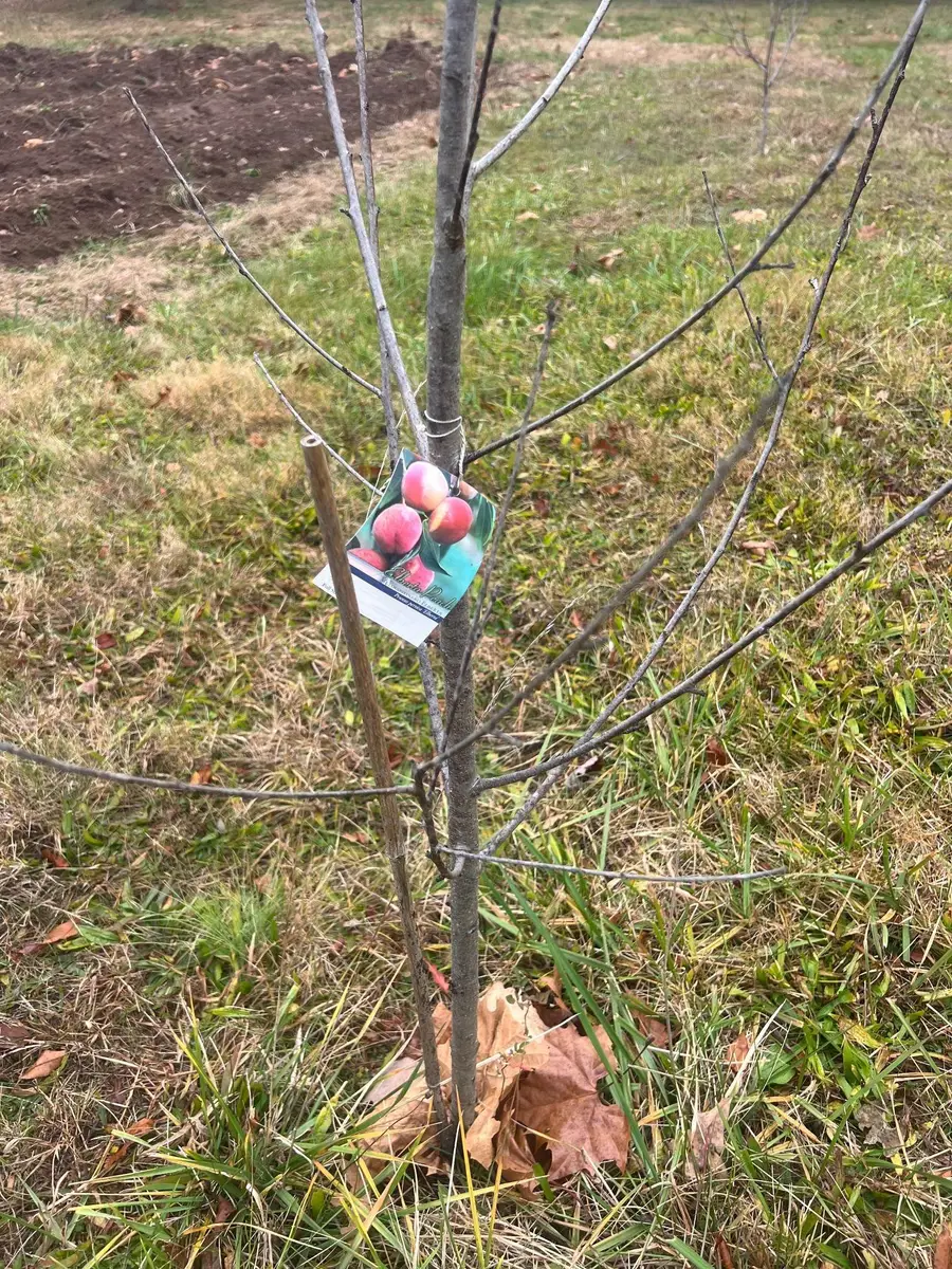 2557 Hankey Mountain Hwy, Churchville, VA 24421 - Image #3