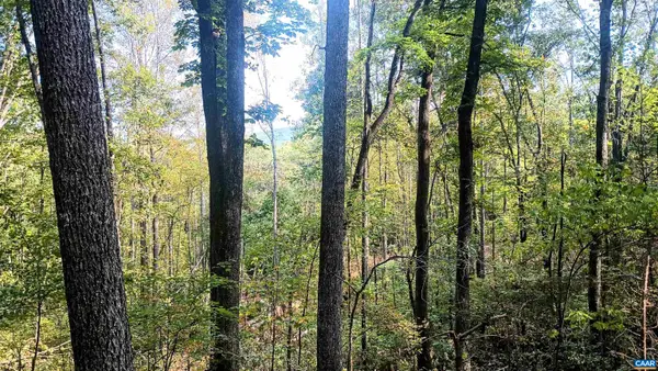 15 Deer Run Ln, Shipman, VA 22971