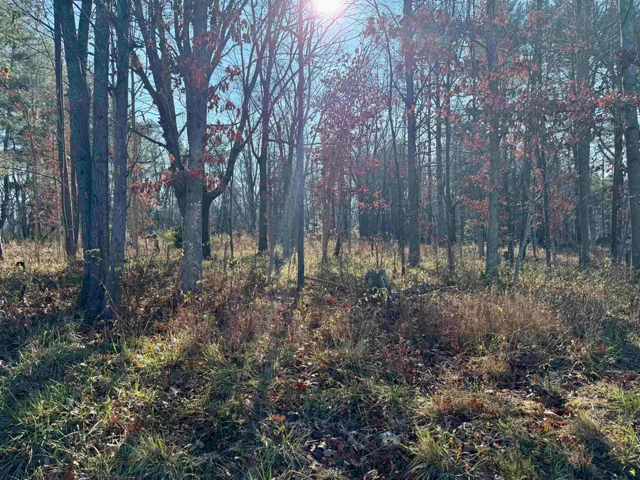 TBD Huckleberry Rd, Elkton, VA 22827 - Image #2