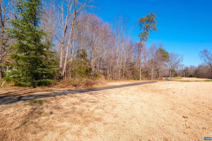 85 May Apple Ln, Nellysford, VA 22958 - #2