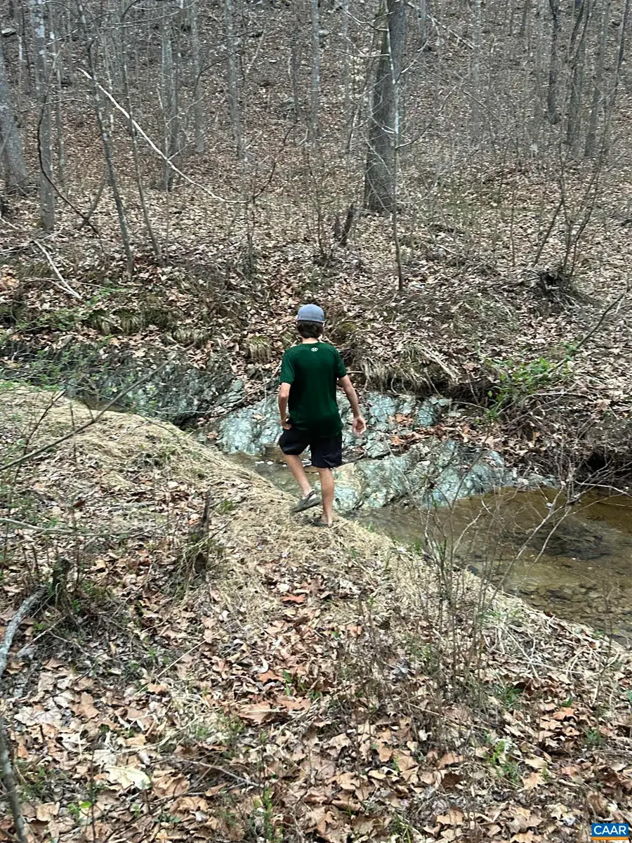 TBD Union Hill Dr, Wingina, VA 24599 - Image #3