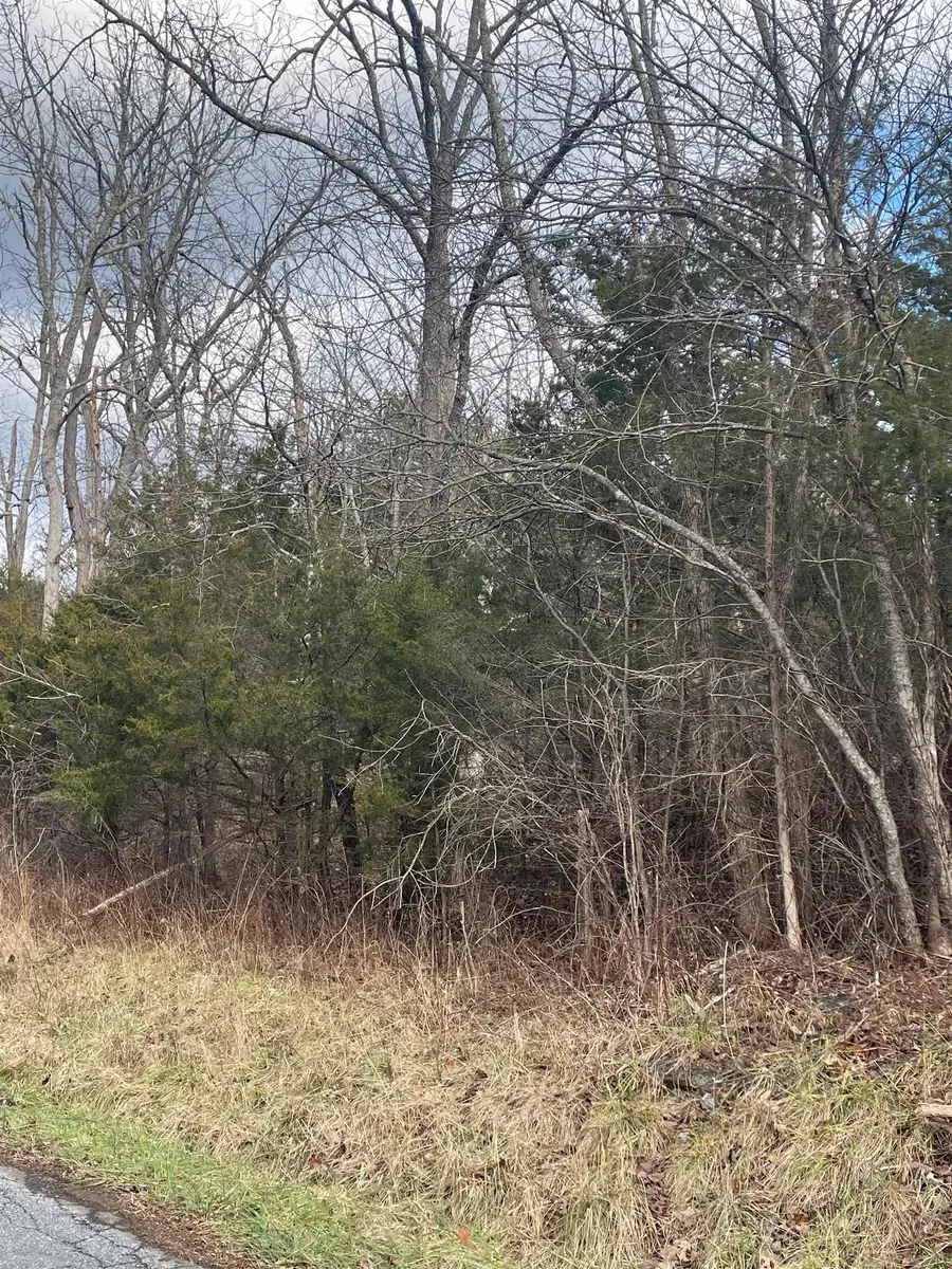 TBD Walker Creek Rd, Middlebrook, VA 24459 - Image #2