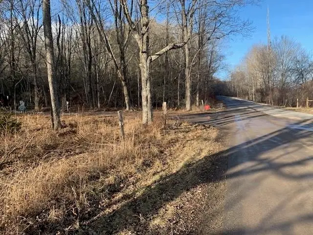 TBD Upper Back Creek Rd, Monterey, VA 24465 - Image #2