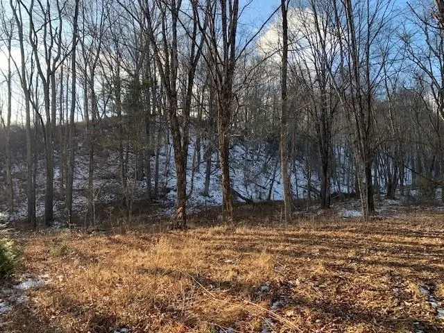 TBD Upper Back Creek Rd, Monterey, VA 24465 - Image #3