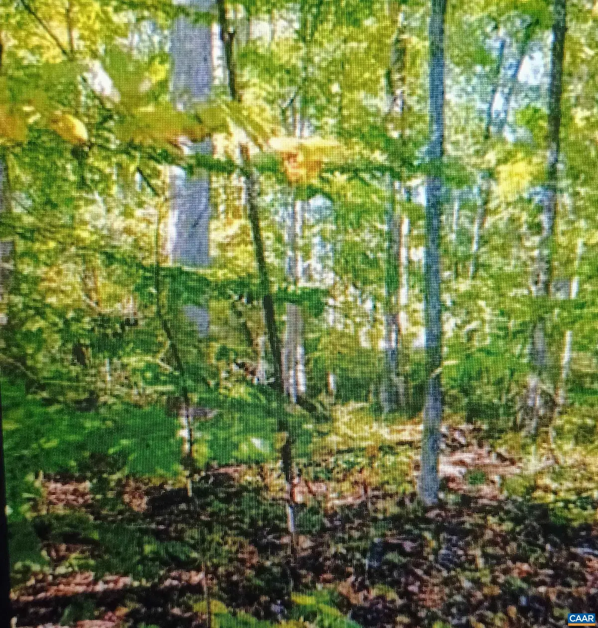 Lot 1154 Ferndale Dr, Louisa, VA 23093 - #1