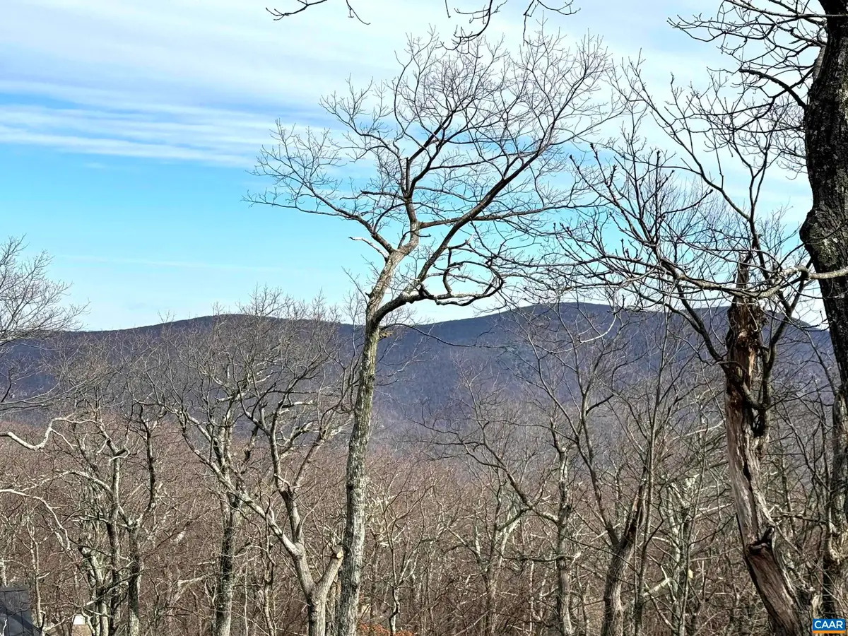 82 Pedlars Edge Dr, Wintergreen Resort, VA 22967 - #1
