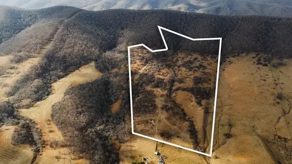 tbd Blue Grass Valley Rd, Monterey, VA 24465