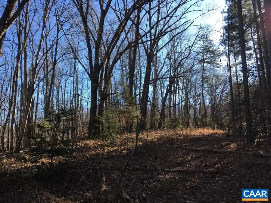 0 Batesville Rd, Afton, VA 22920 - #2