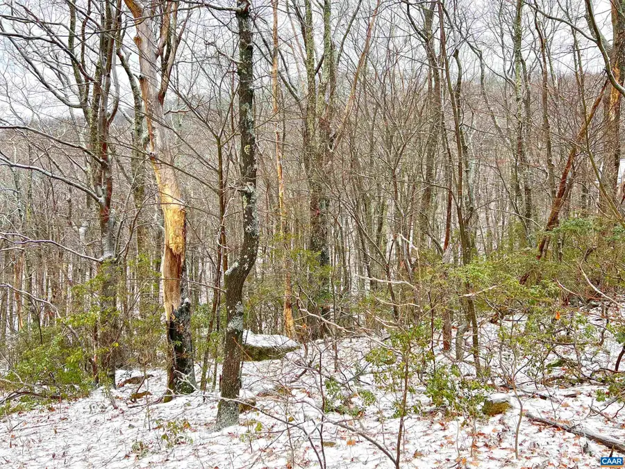 1843 Wintergreen Dr, Wintergreen Resort, VA 22967 - #3
