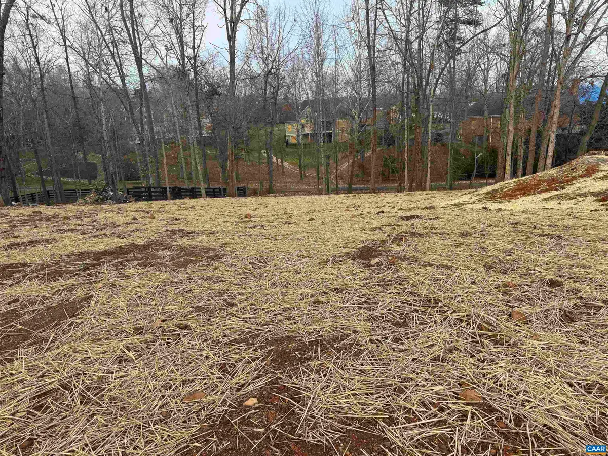 2331 Ferndown Ln, Keswick, VA 22947 - #1