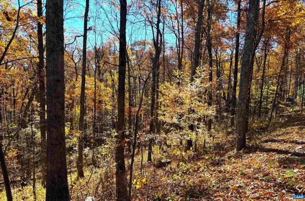 107 Firtree Dr, Wintergreen Resort, VA 22967