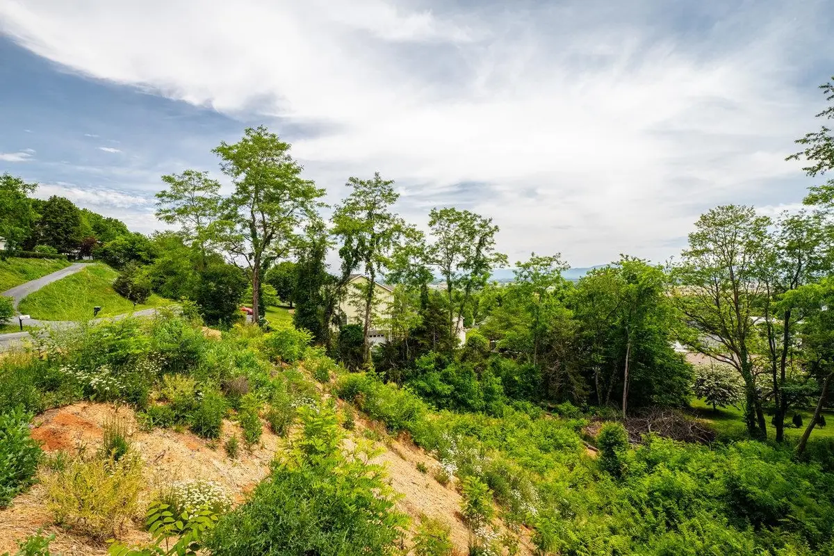 Valley View Dr, Mount Sidney, VA 24467 - #1