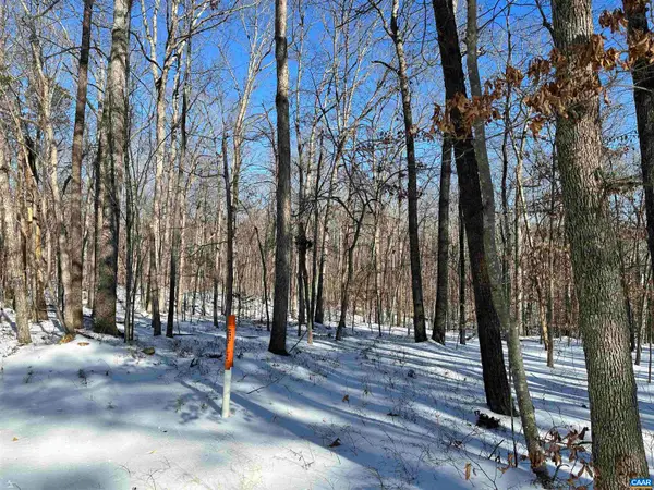 02 Beaverdam Rd, Keswick, VA 22947