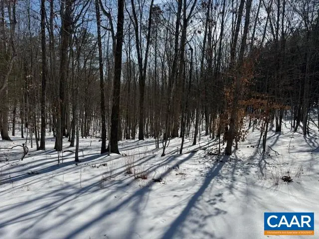 Redbird Dr, Gladstone, VA 24553 - #1