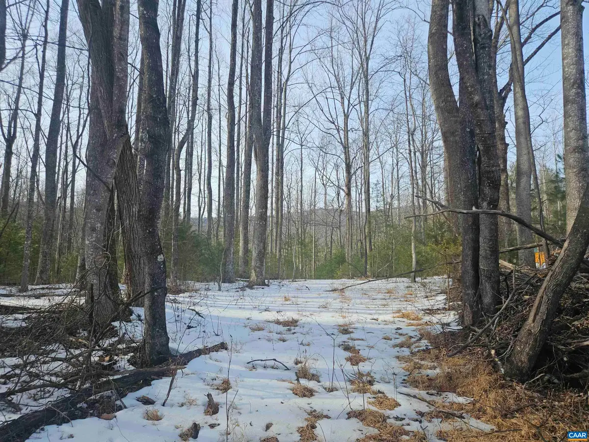 TBD Lot 56G Turkey Ridge Rd, Stanardsville, VA 22973 - #1