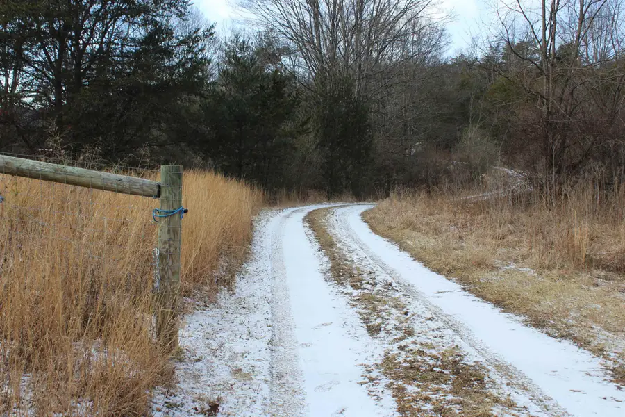 TBD Dogwood Dr, Monterey, VA 24465 - #3