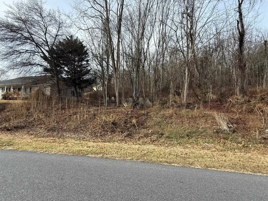 Lot 6 Confederacy Dr, Penn Laird, VA 22846 - #2