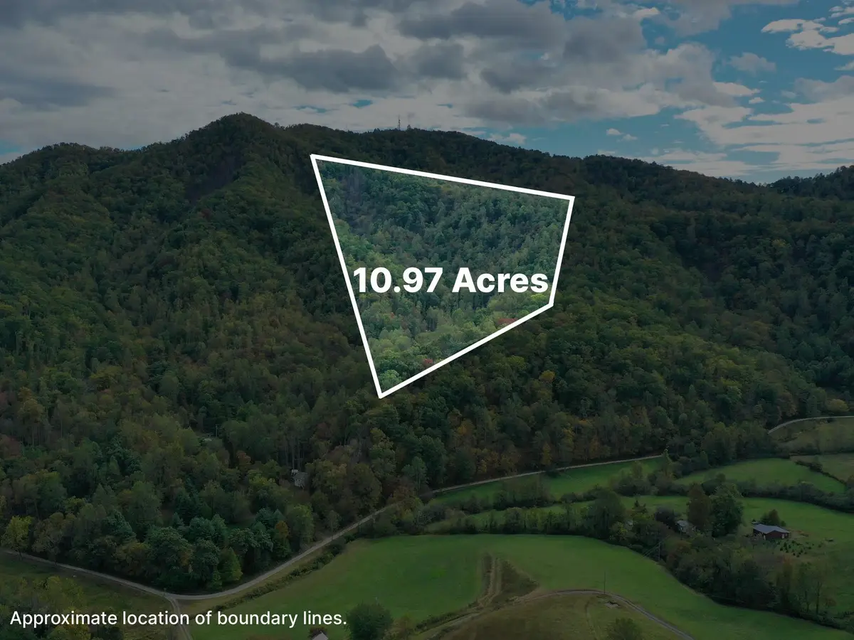 TBD Davis Creek Ln, Lovingston, VA 22949 - #1