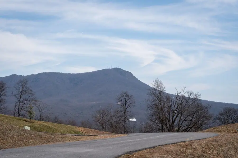 Lot 200 Colchester Ct, Massanetta Springs, VA 22801 - #2