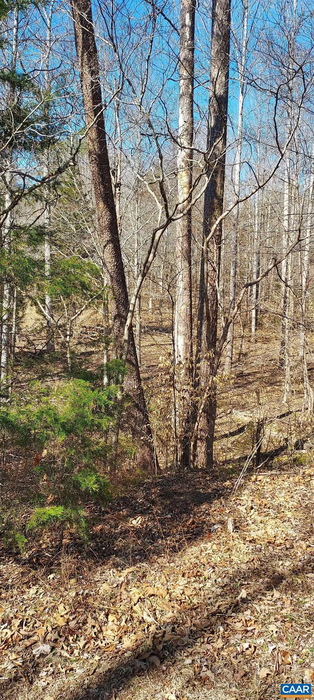 460 Jefferson, Palmyra, VA 22963 - #1