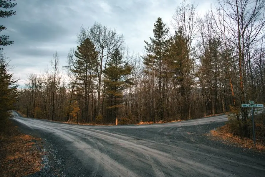 Lot 47 Fetterbush Ln, Hinton, VA 22831 - #2