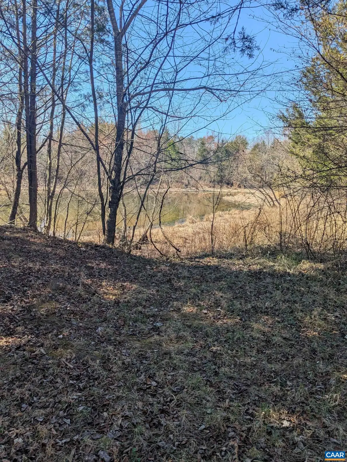 0 Goldfinch Ct, Scottsville, VA 24590 - #1