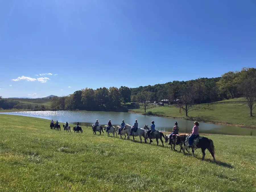 709 Mountain Rd N, Swoope, VA 24479 - #3