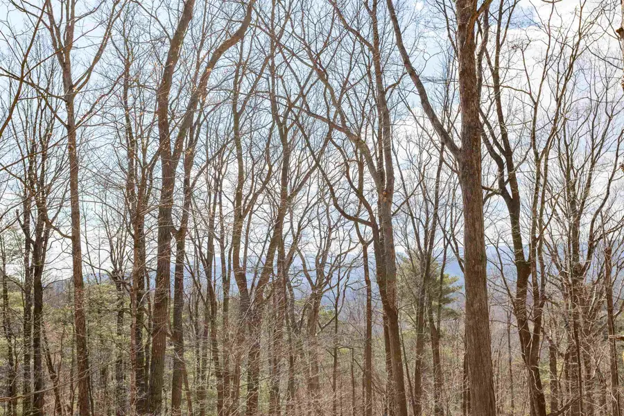 12619 Cardinal Forest Dr, Fulks Run, VA 22830 - #3