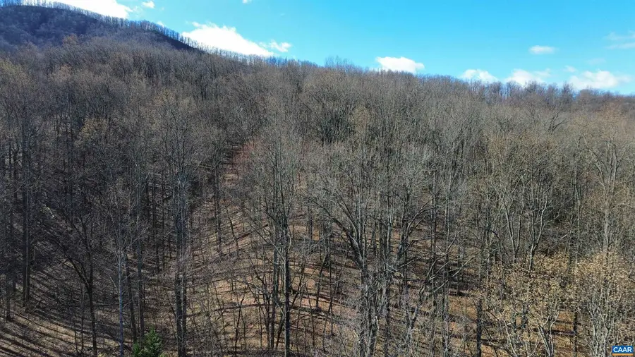 TBD Oakcrest Ln, Nellysford, VA 22958 - #3