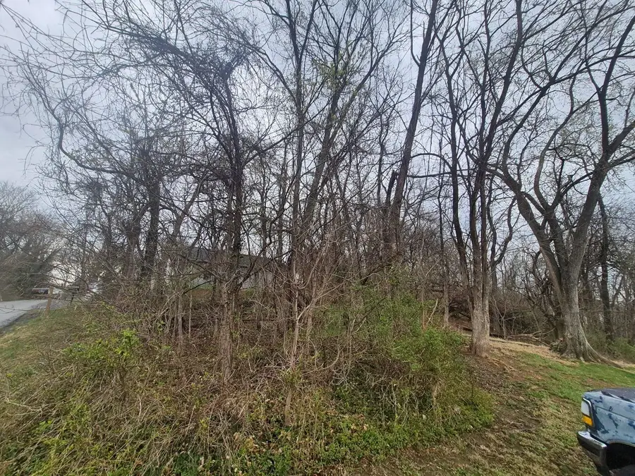 415 Jersey St, Staunton, VA 24401 - #3