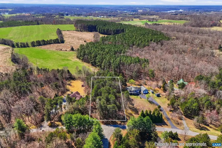 16022 Carrington Ct, Livingston, VA 23117 - #2