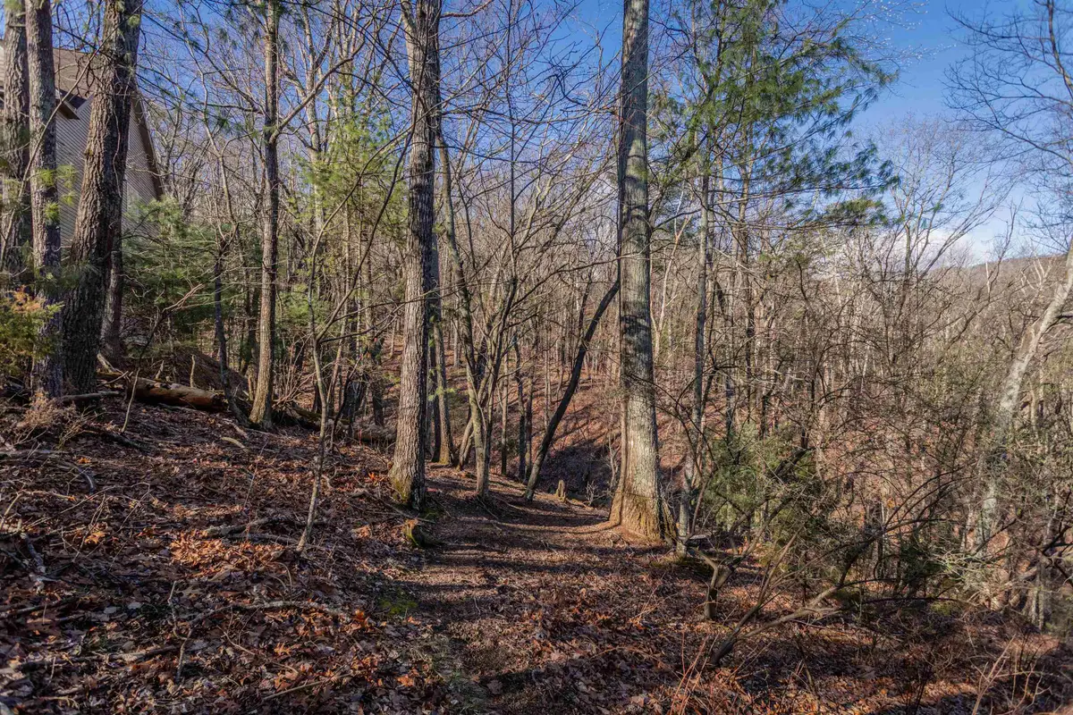 141 Laird Pl, McGaheysville, VA 22840 - #1