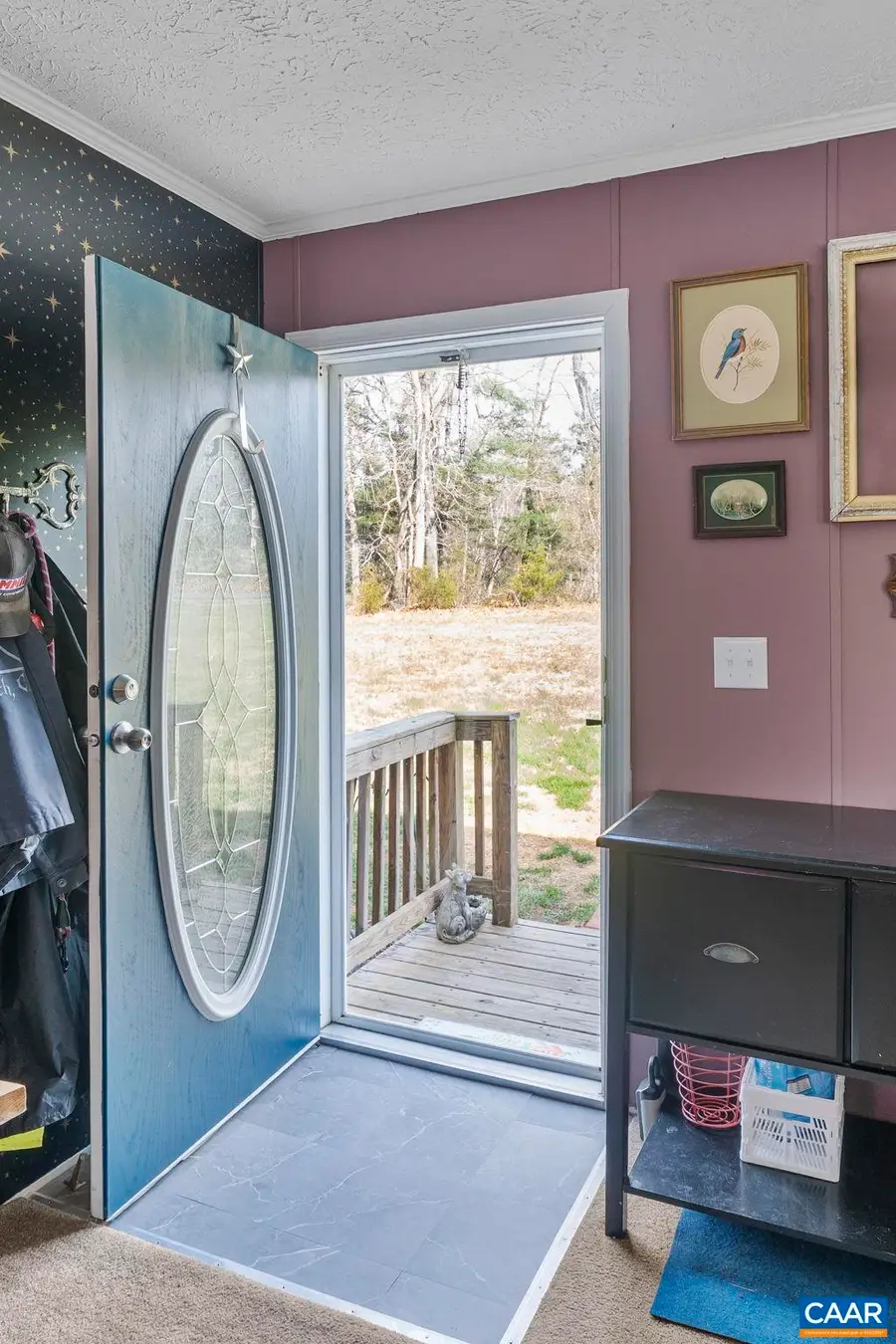 1173 Aylor Rd, Madison, VA 22727 - #3