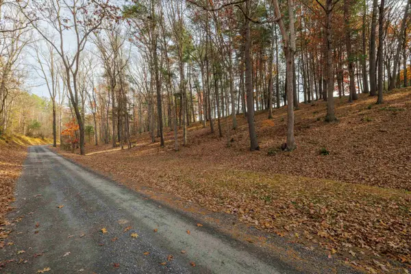 TBD Plum Tree Draft Rd, Churchville, VA 24421