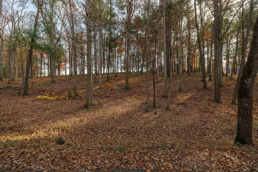 TBD Plum Tree Draft Rd, Churchville, VA 24421 - #3