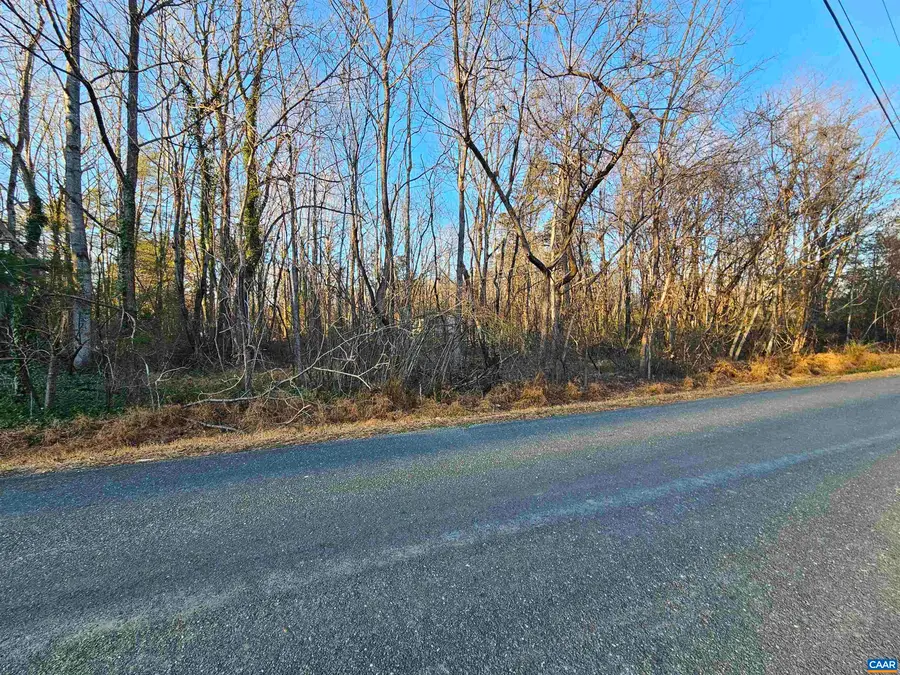 1 Ac Physic Spring Rd, Dillwyn, VA 23936 - #3