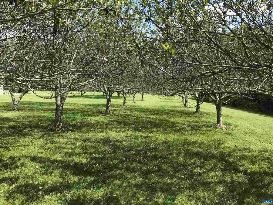 3 Phillips Ln, Nellysford, VA 22958 - #3